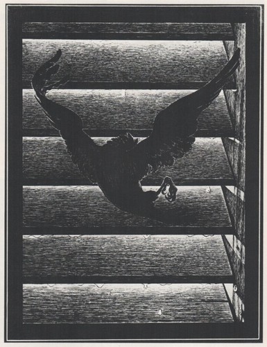 Alberto martini corbeau - alberto,