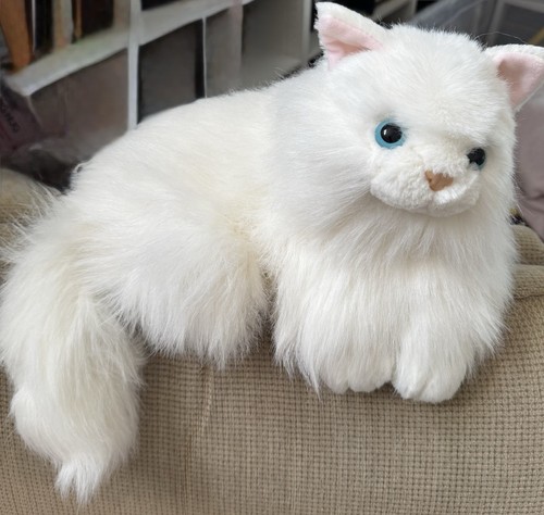 Bellissimo gatto persiano
