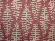 Botanico Felce Foglia Rosa