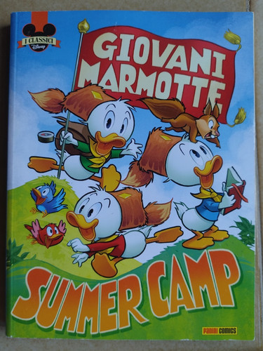 Giovani marmotte summer camp - giovani,