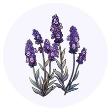 24 adesivi 'Fiori di lavanda'