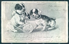 Animali cane Jack Russell? Cartolina Cuccioli Cartolina TW1023