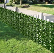 edera finta Pannelli per