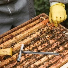 Manico a vite per pressa per -