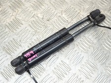 Boot Trunk Gas Struts -