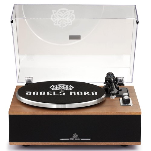Giradischi vinile bluetooth - giradischi,