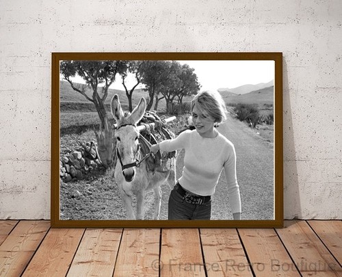 Brigitte bardot - brigitte,