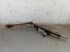 CANNA DELLO STERZO (PIANTONE)