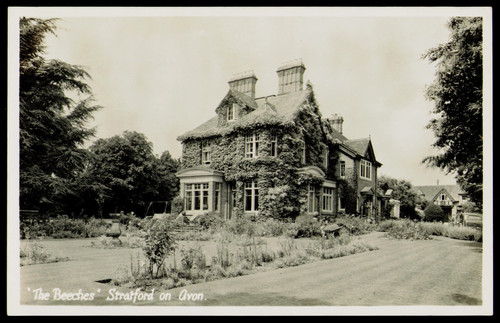 Vintage the beeches - vintage, beeches'