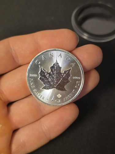 Maple leaf coin 2022 - leaf,
