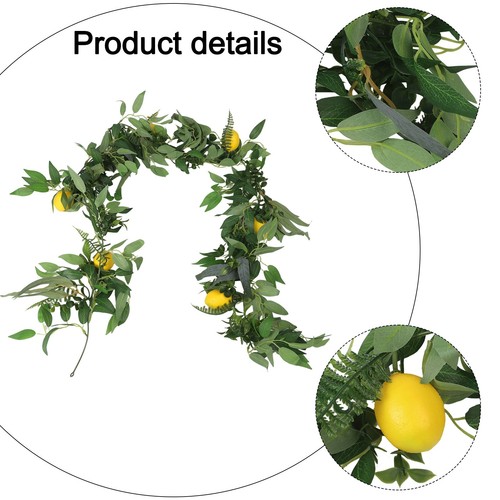 Willow lemon vine - willow,