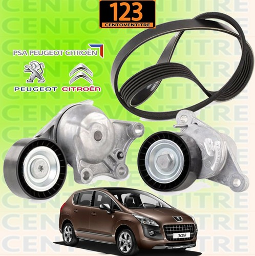 Kit cinghia servizi - cinghia, +