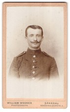 Fotografia William Wegner