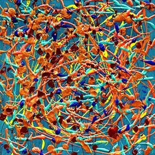 ARTISTA MAESTRO GIUSEPPE