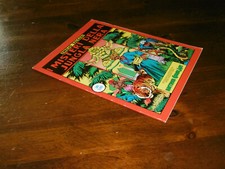 SALGARI LETTERATURA ILLUSTRATA