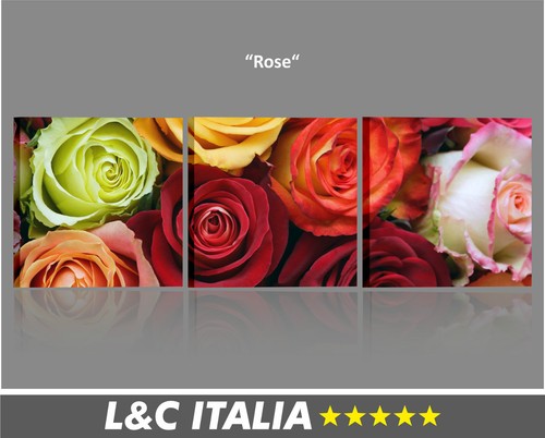 Rose quadro moderno stampe - rose,
