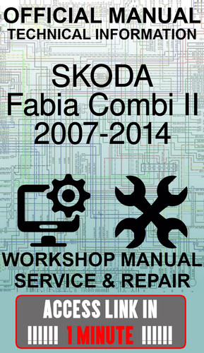 Access link manuale - link, officina