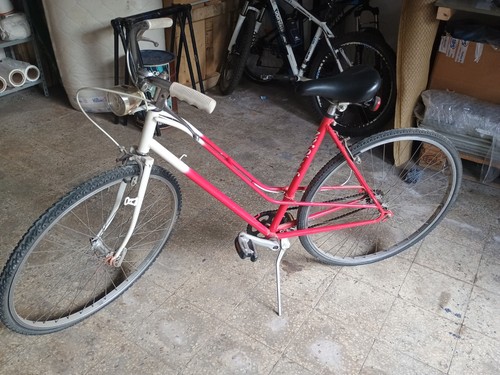 Bici passeggio - bici,