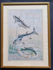 Blocco illustrazioni - ,