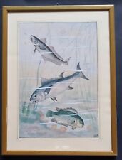  Blocco 11 Illustrazioni Originali PARAVIA     " PESCI DI MARE" 