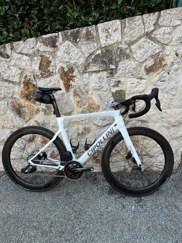 Cipollini bond - cipollini,