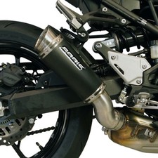 Scarico Bodis GPC-RS II slip-on (per: Kawasaki Z 900 ABS ZR900BB 17-19)