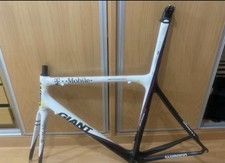 Cuadro Giant TCR Advanced ISP