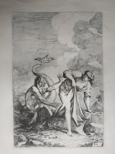 Salvator rosa glauco rapisce - rosa,