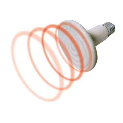 Lampada rettili ceramica 150 - lampada,