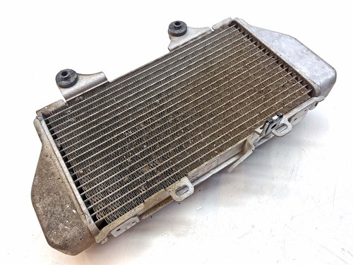 Radiatore honda crf1100l - radiatore,