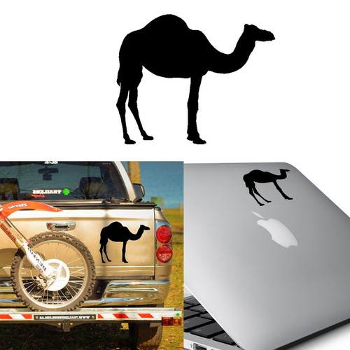 Camel adesivo vinile - in,