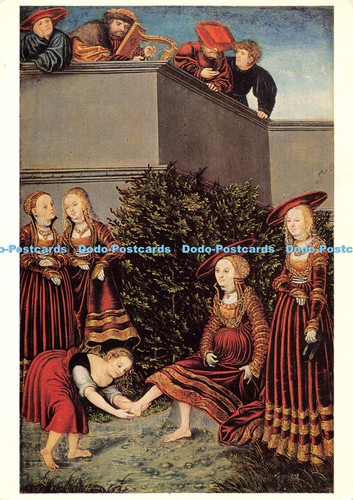 D007191 lucas cranach - lucas, cranach.