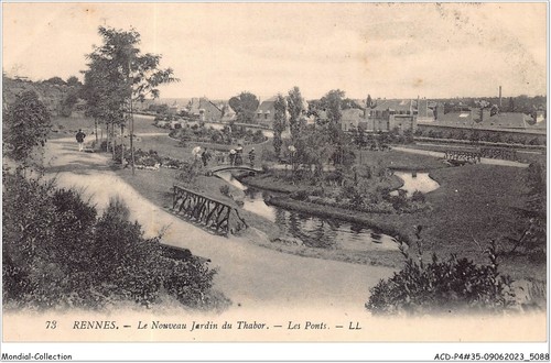 Acdp4 0361 renna - acdp4-35-0361, il