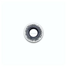 Paraolio Piede Evinrude