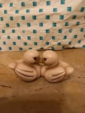 Mini coppia Papere Thun -