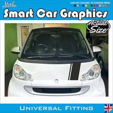 SMART CAR PER DUE strisce