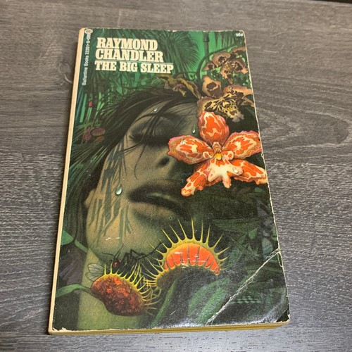 The big sleep raymond chandler - sleep,