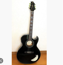 Chitarra elettrica acustica