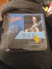 Bb King Manicotto Corde Chitarra Blues Elettrica Con Cover