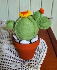 Piantina grassa cactus in