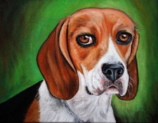 Quadro beagle portrait cane - quadro,