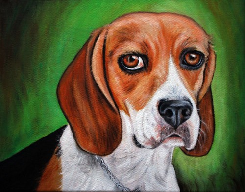 Quadro beagle portrait cane - portrait, da