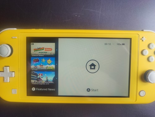 Solo nintendo switch lite - nintendo,