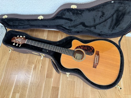 Chitarra acustica takamine - acustica,