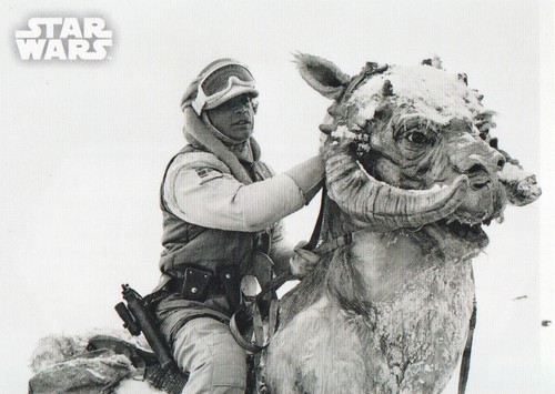 Carte collezionabili star wars - carte,