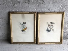 Coppia Quadri Cornici Dorate Uccellini E Farfalle