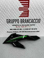 Carena Anteriore Kawasaki