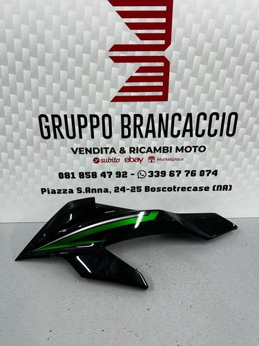 Carena anteriore kawasaki - anteriore,