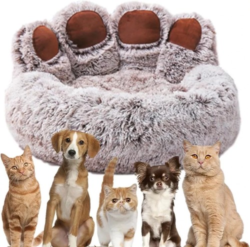 Cuccia per cani - e, a