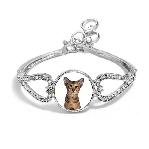 Oriental cat pet - cat, silver
